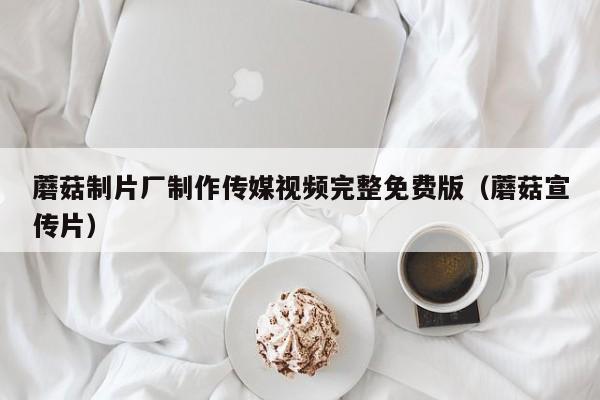 蘑菇制片厂制作传媒视频完整免费版（蘑菇宣传片）