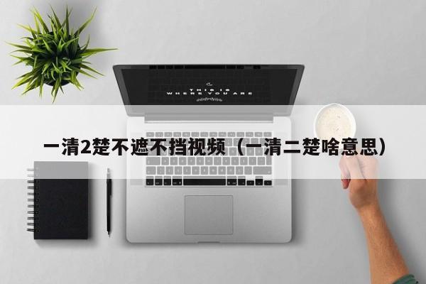 一清2楚不遮不挡视频（一清二楚啥意思）