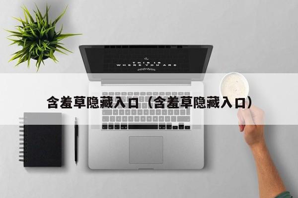 含羞草隐藏入口（含羞草隐藏入口）