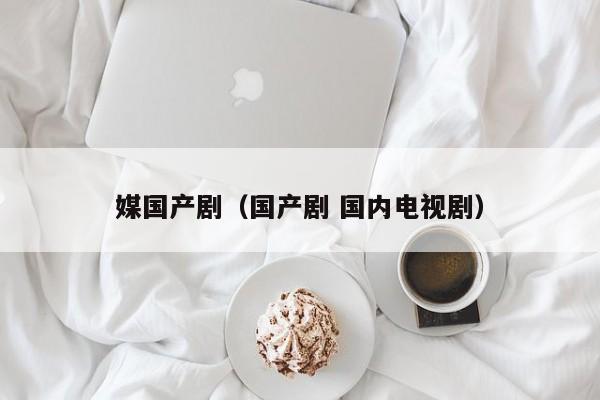 媒国产剧（国产剧 国内电视剧）