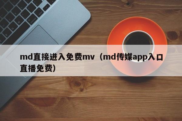 md直接进入免费mv（md传媒app入口直播免费）